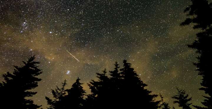 Así podrás ver la lluvia de estrellas más esperada del año