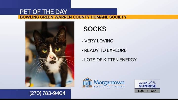 Pet of the Day: Socks