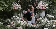 Local groups make social posts about Swift, Kelce engagement