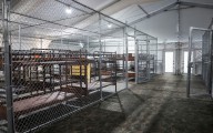 México atiende a 81 connacionales recluidos en 'Alligator Alcatraz' en EU