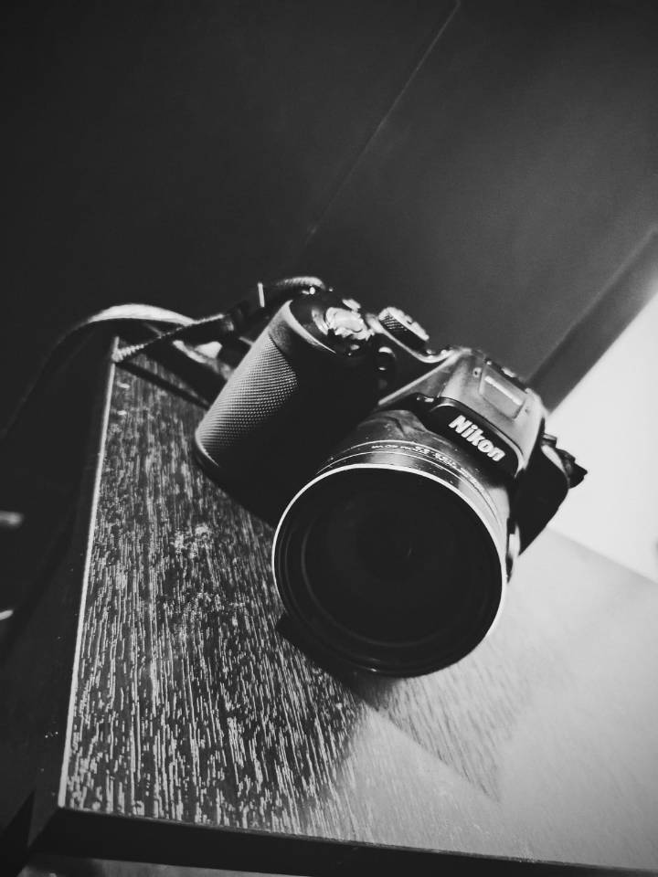 Día Mundial de la Fotografía 2025