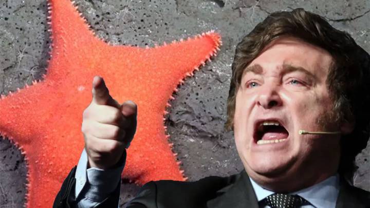 "Milei en guerra con la ciencia": así presentaron el streaming del CONICET en la TV francesa