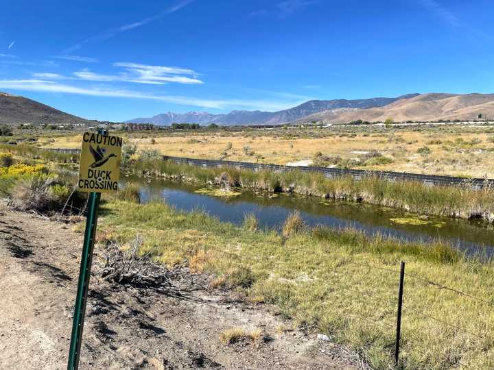 City: Measures for Lompa project won’t destroy wetlands