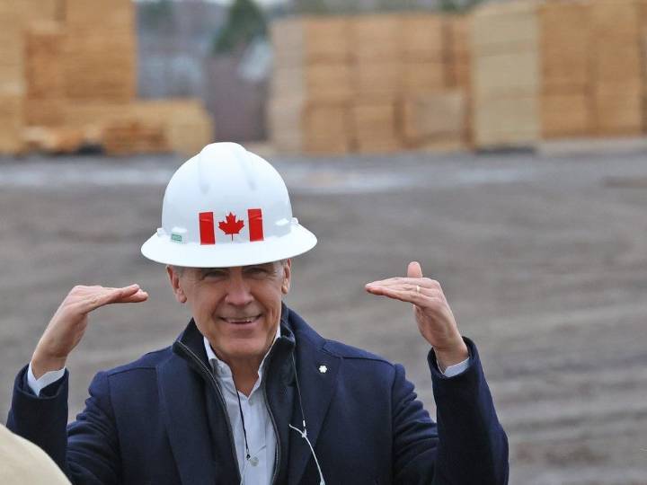 Carney announces $1.2 billion in support measures for softwood lumber industry