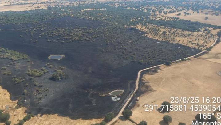 El incendio de Moronta baja a nivel cero tras la estabilización de las llamas que se acercaron al municipio
