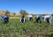 Se pone en marcha proyecto de riego para comunidades de la región Junín