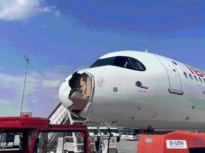 Video: un vuelo en España debió aterrizar de emergencia porque un pájaro destrozó su trompa