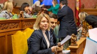 El PP presentará una moción en el Consell contra la "nula gestión" del Gobierno en la crisis migratoria en Mallorca
