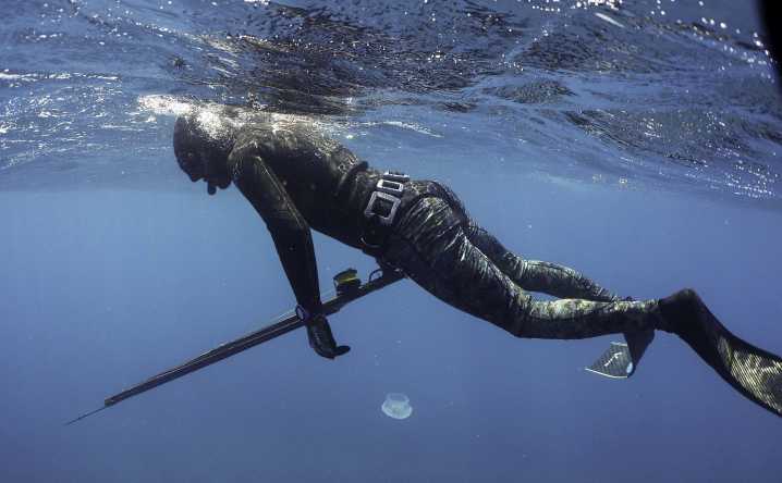 American Tourist Attacked By Shark in The Bahamas