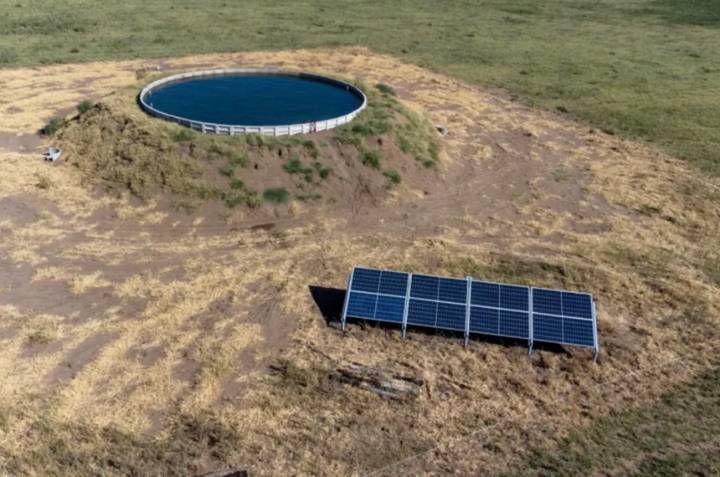"Cosecha de agua" en el oeste pampeano: una innovación de doble propósito
