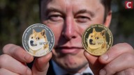 Dogecoin Price Rockets Past 14