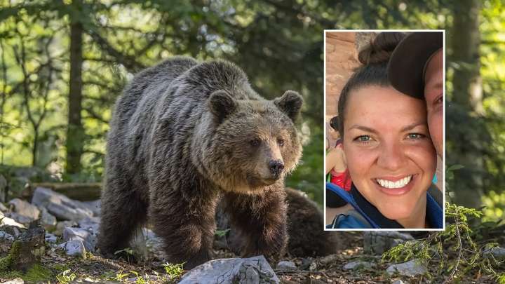 Una mujer sobrevive tras ser atacada por un oso y ser arrastrada 90 metros por el animal