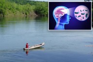 Brain eating amoeba kills Missouri patient at St. Louis hospital