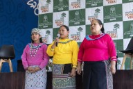 ‘Sin bosques no hay vida’: comunidades de fe se unen contra la deforestación