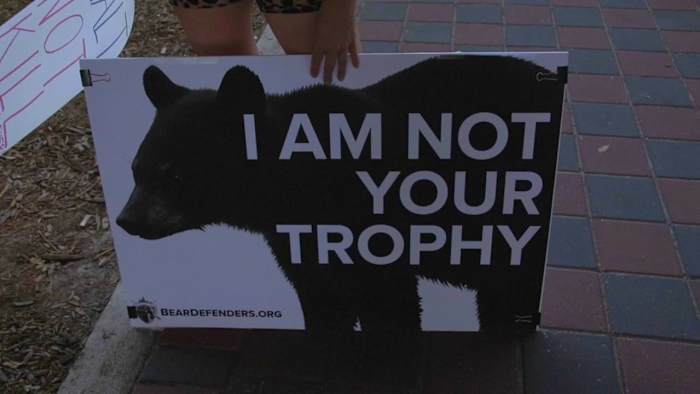 Conservation group sues Florida over bear hunt plan, says it limits public input