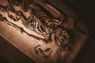 Fósiles etíopes revelan una nueva especie en el linaje evolutivo humano