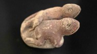 Escultura en forma de sapo perteneciente a la civilización más antigua de América fue hallada en Perú: tiene 3.800 años