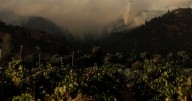 Evacuations ordered as wildfire blazes California's famed Napa County