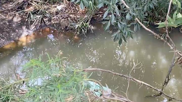 Frena prevención al dengue; refuerza salud medidas ante riesgo