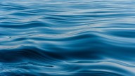 2 people pulled from Lake Sammamish, hospitalized