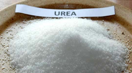 ¿La Planta de Urea para Casanare sí quedó en el Plan de Desarrollo Nacional?