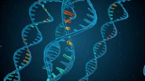 Científicos logran transferir comportamiento entre especies de moscas con un solo gen