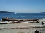 Kelp farmer says structural failure led to 100 pounds of equipment sinking