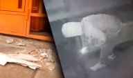 Delincuentes detonan explosivo en casa de una comerciante en Comas