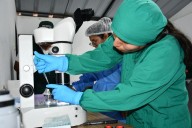 INIA recibe autorización sanitaria para producción de semen caprino de alta calidad genética