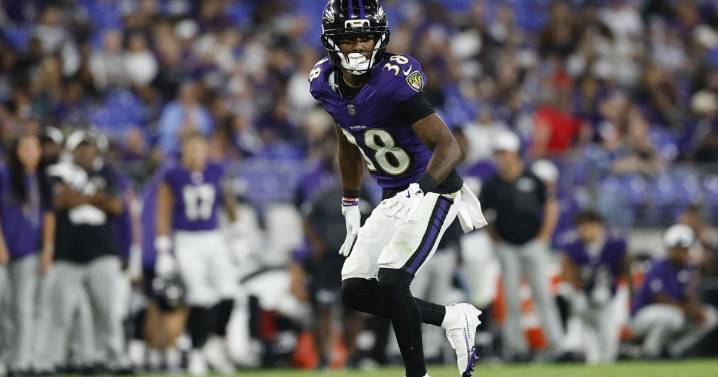Column: Ravens’ undrafted free agent trio is feel-good story we needed to end camp