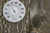 When Will East Texas See Its First Freeze?