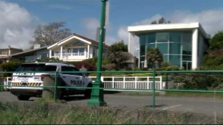 Man pleads guilty to ‘horrific’ 2017 Oak Bay machete attack