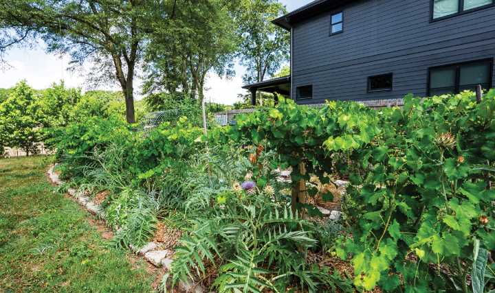 The rise of the “anti-lawn movement” has some Atlanta yards looking wild by design