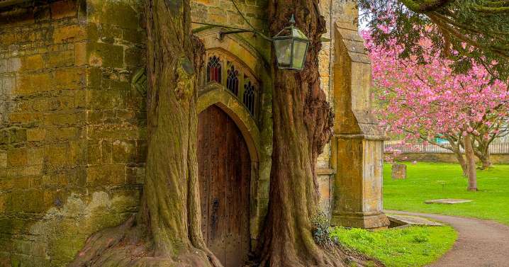 'I discovered Middle Earth in the Cotswolds - Lord of the Rings fans will be gobsmacked'