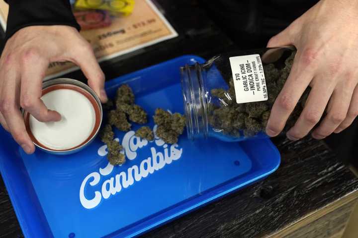 MAGA minions are reeling as Trump weighs reclassifying weed