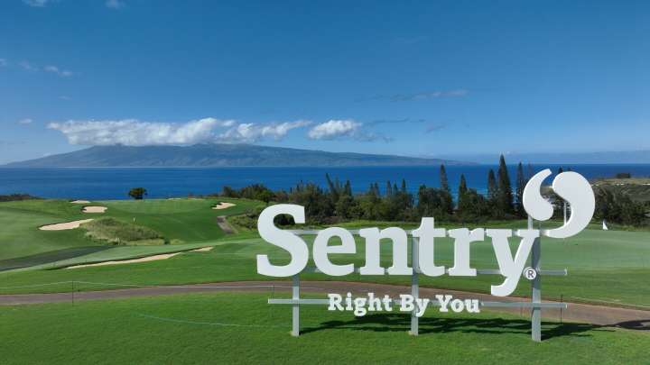'Every day the golf course is dying': Kapalua closes courses for 2 months amid water dispute