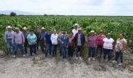 Tamaulipas refuerza producción del maíz en Tula con apoyo técnico