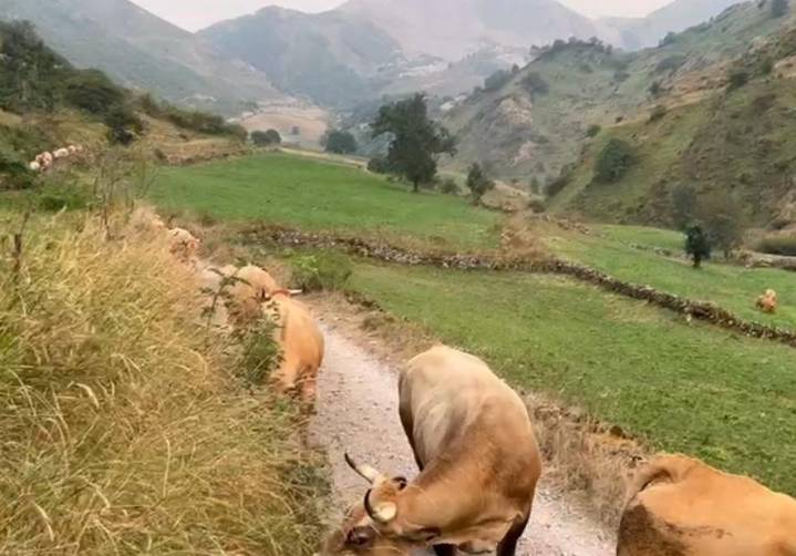 El calor da una tregua en Asturias, aunque en el Suroccidente se superarán los 30 grados