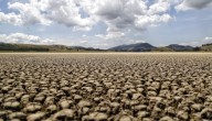 ¿Cuáles son los países más afectados por las sequías y cambio climático en el mundo?