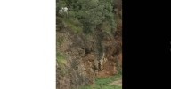 Una familia se cuela en un recinto de lobos en Cantabria y es grabada por un 'tiktoker': ​«Es una barbaridad»