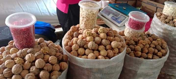 Amecameca celebra la 40 Feria de la Nuez de Castilla