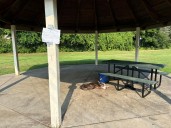 Senior Dog Tied To Picnic Table With Note Saying 'He's A Good Boy' Shocks New York Rescuers