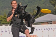 PHOTOS: Flying high at the 153rd Chilliwack Fair