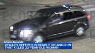Family demands justice in Pilsen, Chicago hit-and-run crash that killed Marcela Herrera, injured fiancé near Ashland and Cullerton