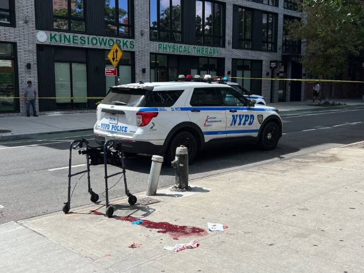 Woman, 69, using walker fatally struck in face by stay bullet in East Harlem
