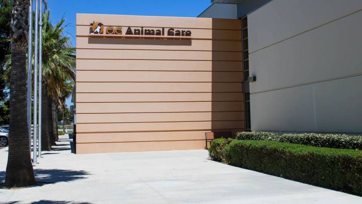 Two Dogs Dead in Transport from OC Animal Care to Idaho