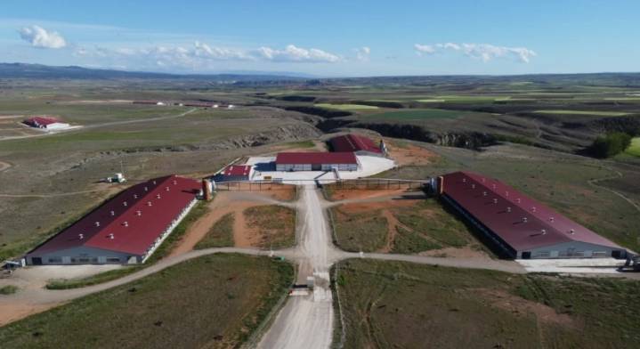 El proveedor de huevos de Mercadona abrirá una granja para 320.000 gallinas camperas en Extremadura