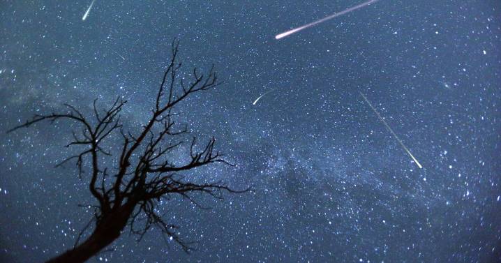 Perseid meteor shower: exact time to spot fireballs shoot across the sky