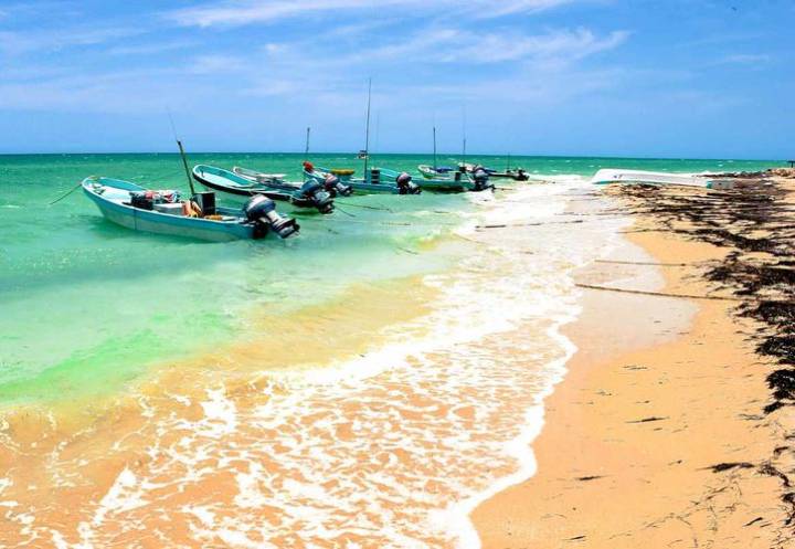 Convocan limpieza simultánea en 14 playas en Yucatán