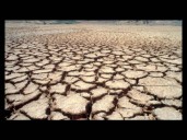 Región Valles del Yaqui y del Mayo: siembran trigo y cosechan deudas e incertidumbre